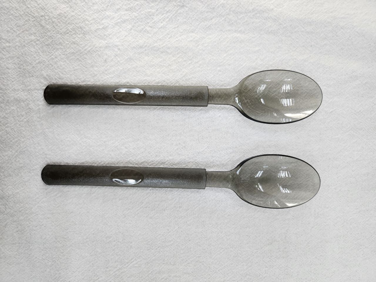TRANSPARENT BLACK SPOON