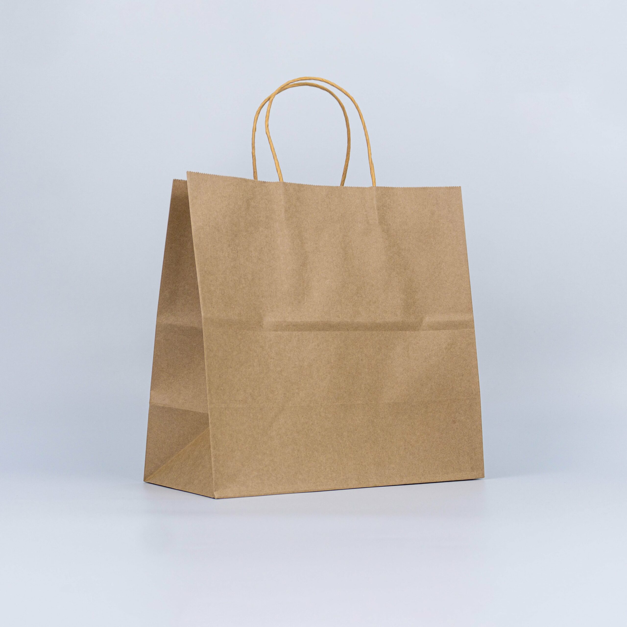 #75 TWISTED HANDLE PAPER BAG-KRAFT (405X280X150)